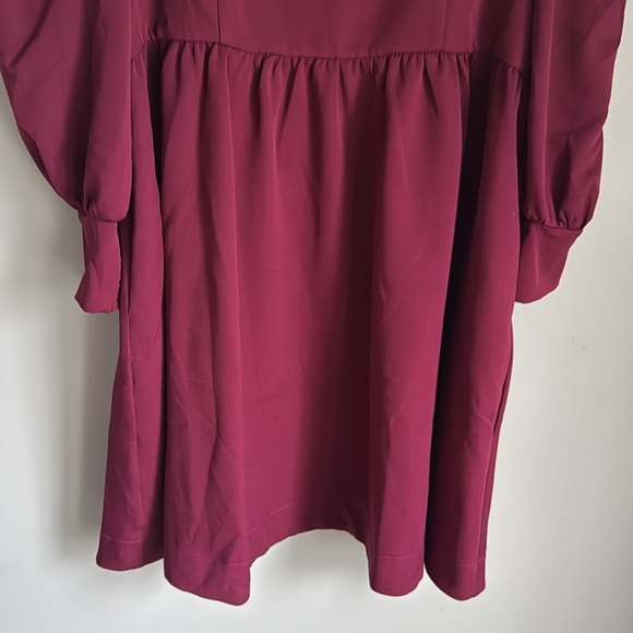 Tuckernuck Burgundy Mini Dress - Picture 6 of 13